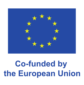 Co-funded by the European union disclaimer